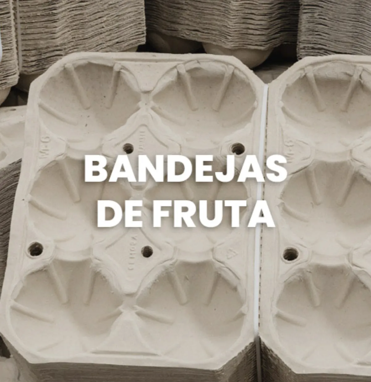 Termoformados y Bandejas R-PET